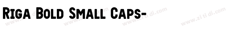 Riga Bold Small Caps字体转换 Riga Bold Small Caps字体转换